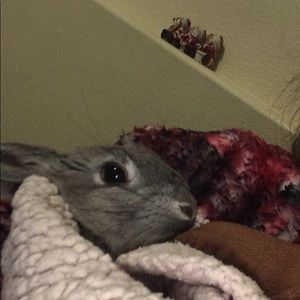 Meet your Posher, Ari